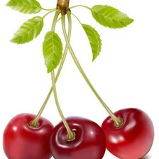 Схема вышивки «вишня»