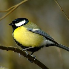 Схема вышивки «ПГ»