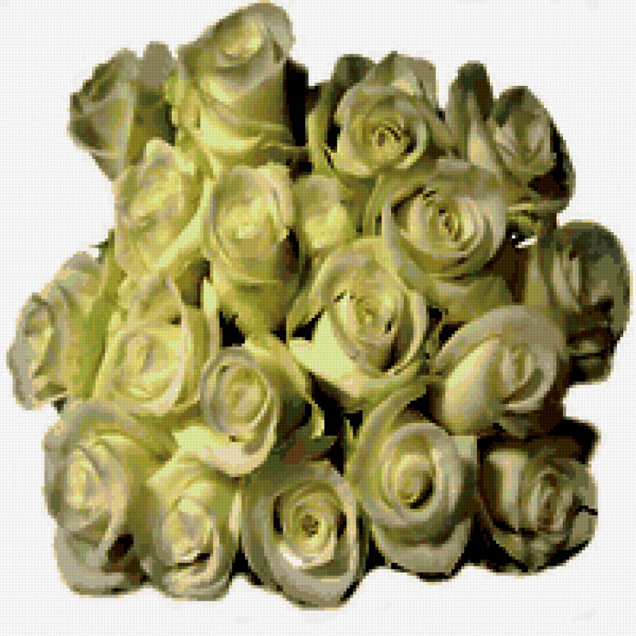 роза - предпросмотр