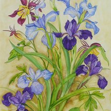 Схема вышивки «Ирисы»