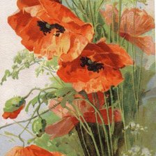 Схема вышивки «маки»