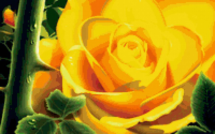 Желтая роза - цветы - предпросмотр