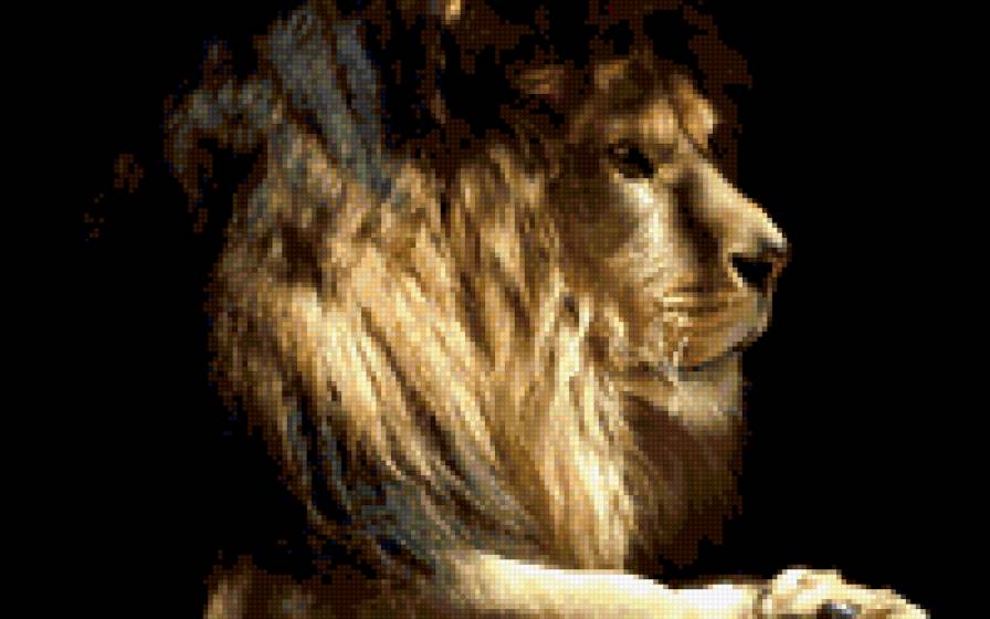 Царь зверей - животные - предпросмотр