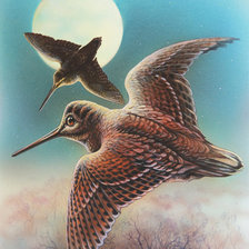 Схема вышивки «Серия "Птицы"»