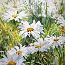 Схема вышивки «ромашки»