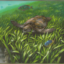 Схема вышивки «Подводный мир»