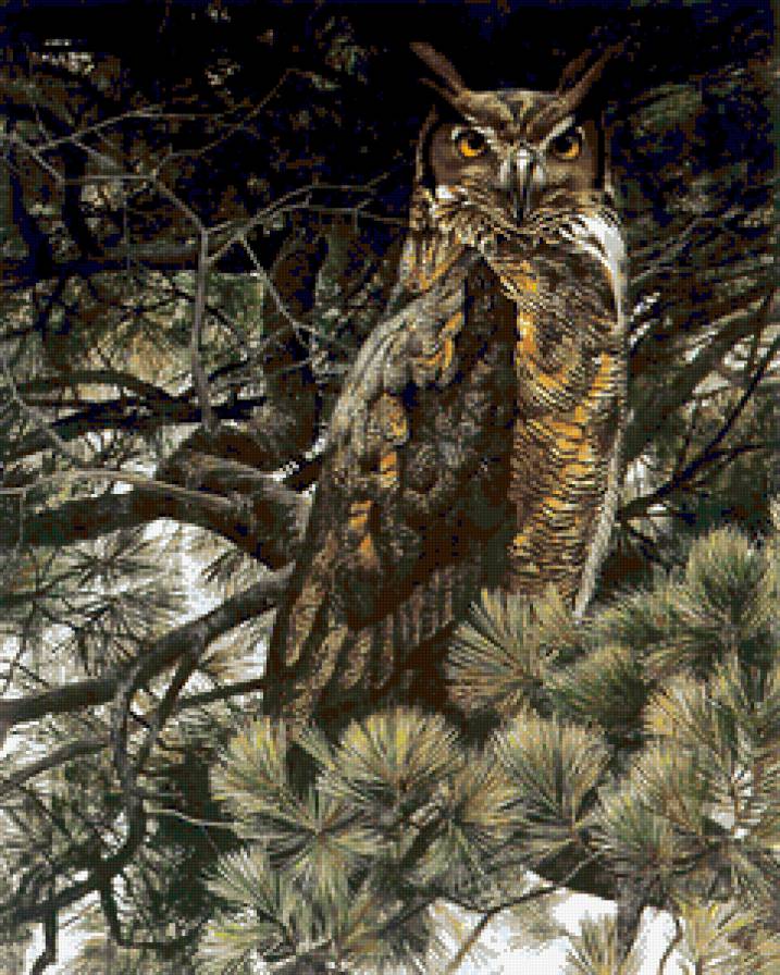 Сибирский сторож - пейзаж, птицы, совы, филины - предпросмотр