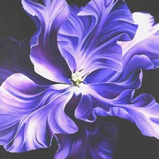 Схема вышивки «№274613»