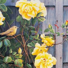 Схема вышивки «0061»