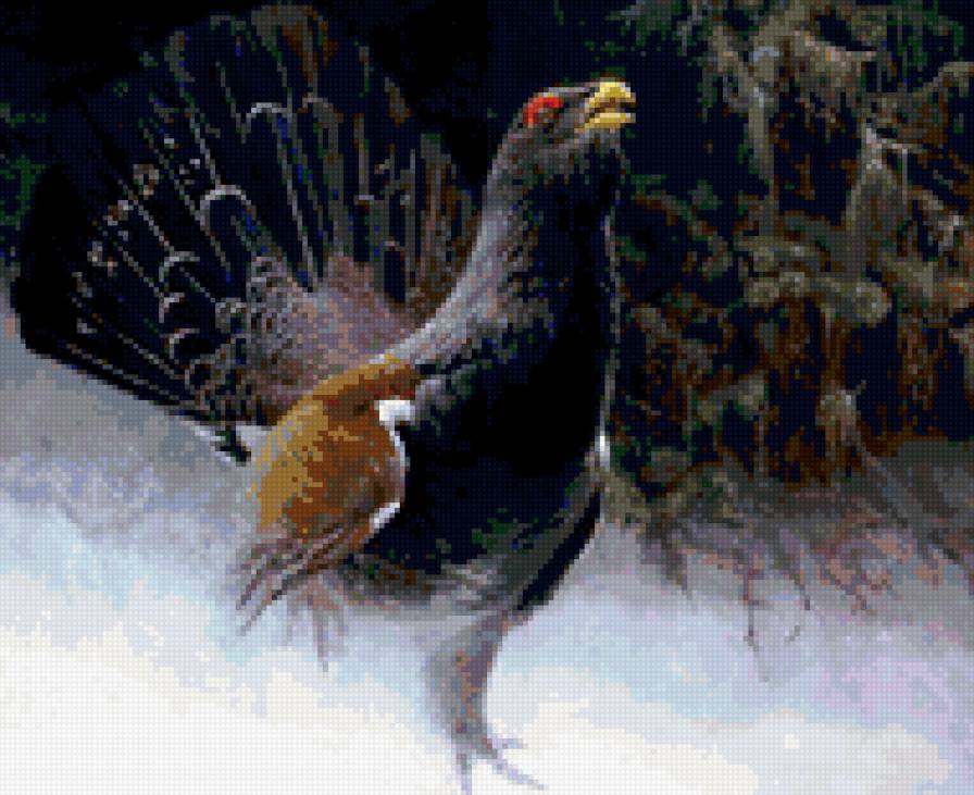 0063 - природа, птицы, картина, красота, зима - предпросмотр