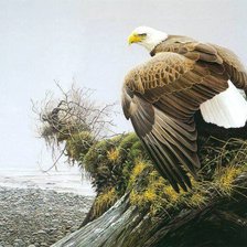 Схема вышивки «0064»