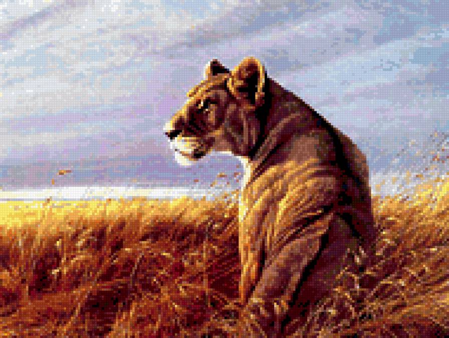 0065 - картина, лев, красота, природа, животные - предпросмотр