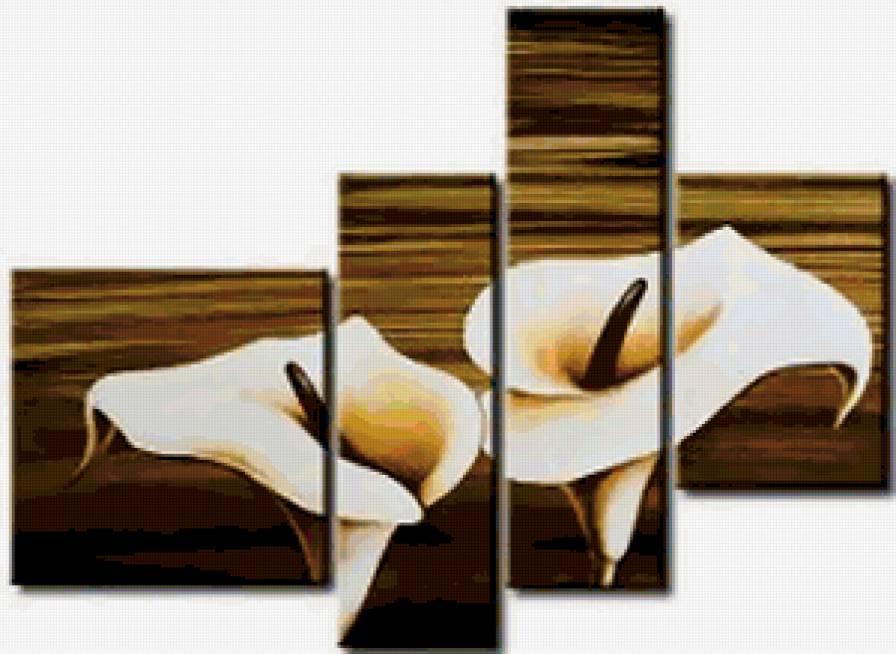 каллы - предпросмотр