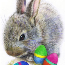 Схема вышивки «Кролик»