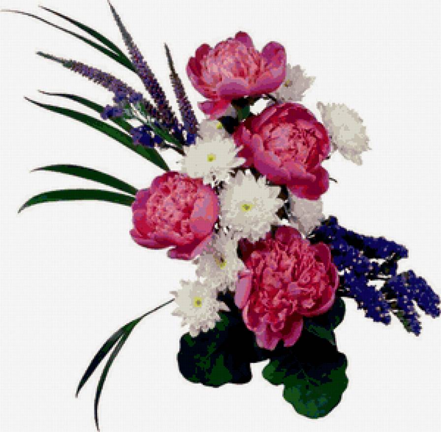 букет - букет, пионы, хризантемы, цветы - предпросмотр