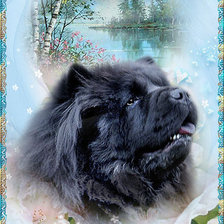 Схема вышивки «Касси 60»