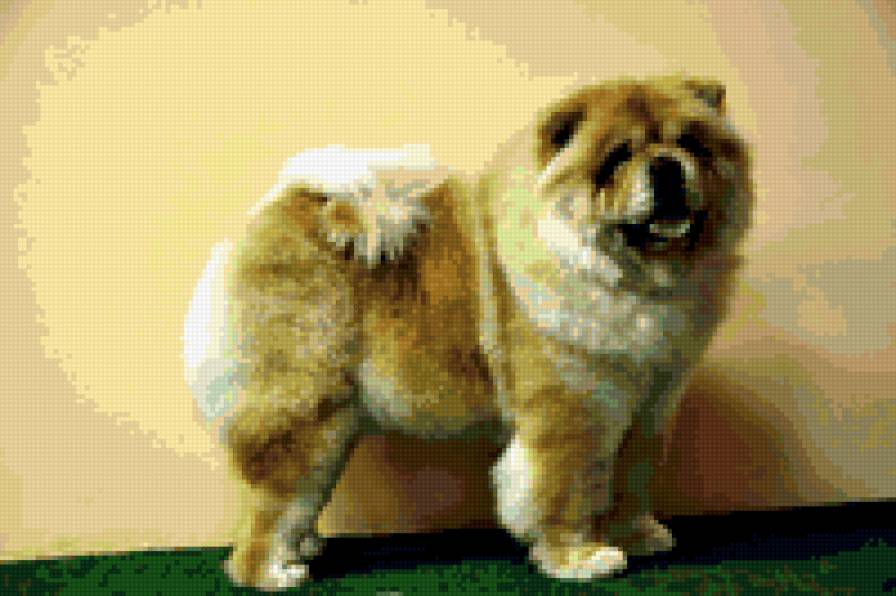 Маня - предпросмотр