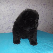 Нюша маленькая