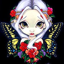 Схема вышивки «Ночная бабочка»