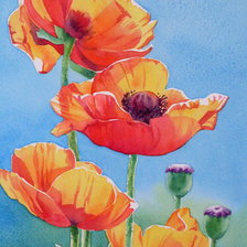 Схема вышивки «маки»