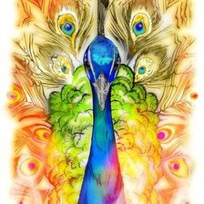 Схема вышивки «Павлин»