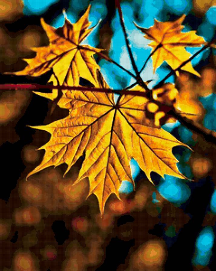 Кленовый лист - растения, природа - предпросмотр