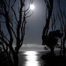 Схема вышивки «Ночь»