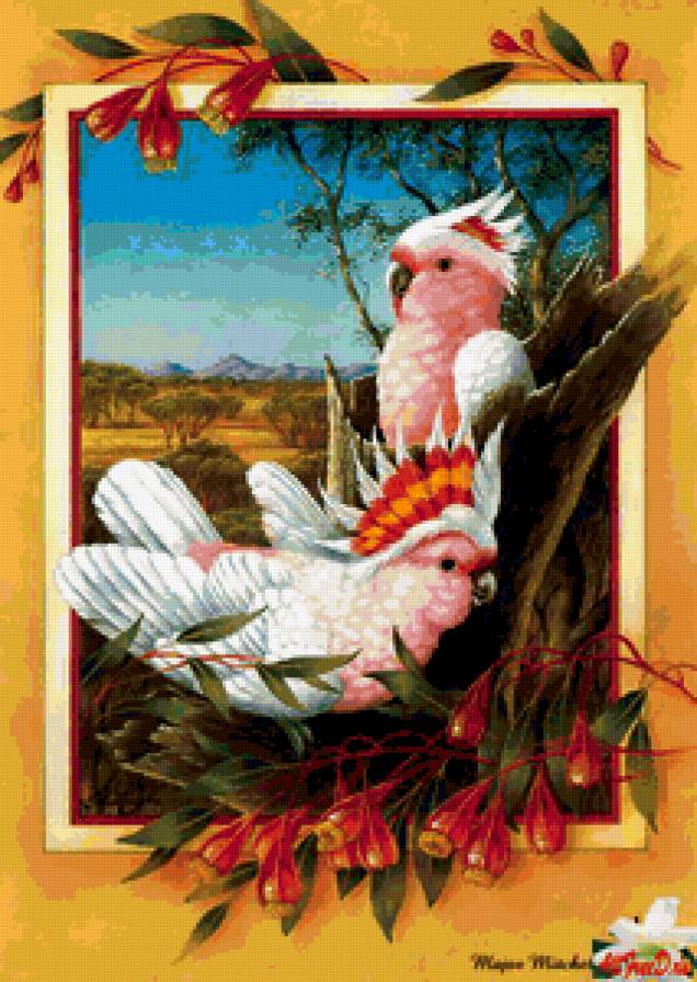 птицы - попугай, птицы - предпросмотр