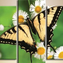 Схема вышивки «№275577»