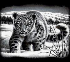 Схема вышивки «крадущийся»