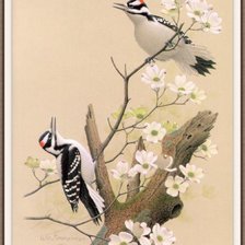 Схема вышивки «птицы»