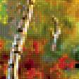 Предпросмотр схемы вышивки «Осень в березовой роще» (№275797)