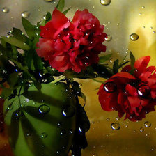 Схема вышивки «пионы»