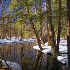 Схема вышивки «Весна»