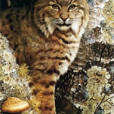 Схема вышивки «№275898»