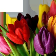 Схема вышивки «ТЮЛЬПАНЫ»