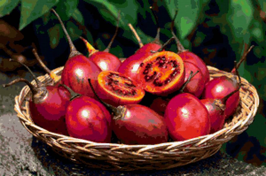 Тропические фрукты - еда, вкусняха - предпросмотр