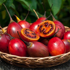 Тропические фрукты