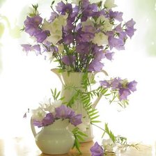 Схема вышивки «НЕЖНОСТЬ»