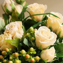 Схема вышивки «БЕЛАЯ РОЗА»