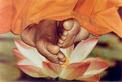 Sai_feet - оригинал