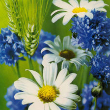 Схема вышивки «№276636»