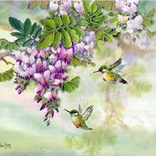 Схема вышивки «колибри»