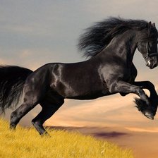 Схема вышивки «№276656»