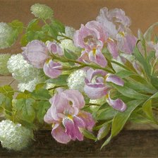 Схема вышивки «Розовые ирисы»