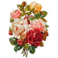 Схема вышивки «букет роз»