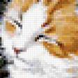 Предпросмотр схемы вышивки «Котята» (№276719)