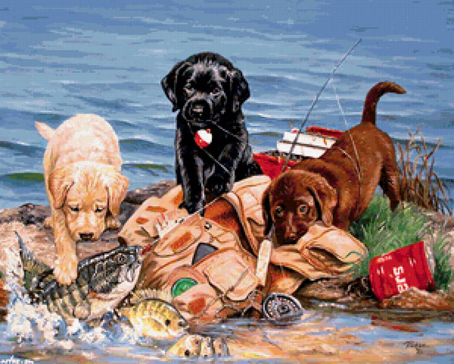 озорники - щенки, собака, животные - предпросмотр