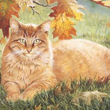 Схема вышивки «кот»