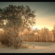 Схема вышивки «пейзаж»